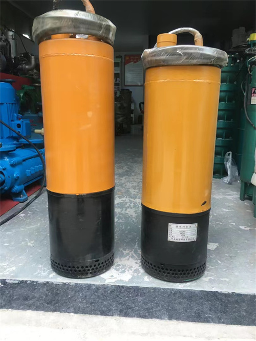 陝(shan)西潛污泵(bèng)